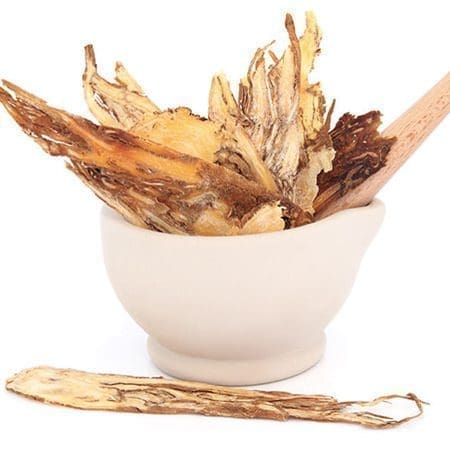 Angelica Root