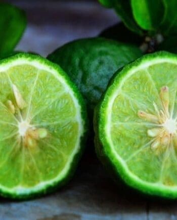Bergamot