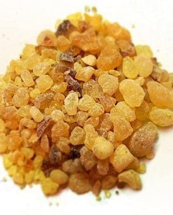 Frankincense (Serrata)