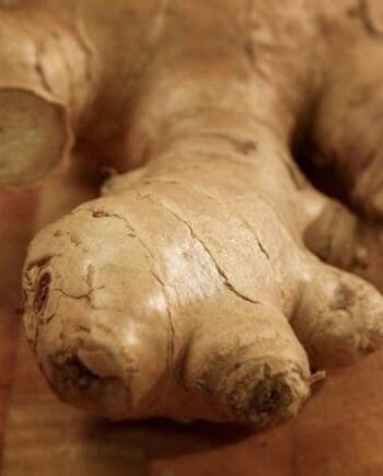 Ginger, Fresh